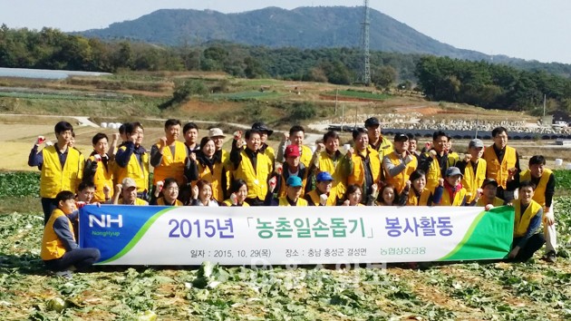 농협중앙회 상호금융 임직원 40여명은 가뭄으로 어려움을 겪고 있는 농가를 돕기 위해 지난 29일 결성농협 배추 계약재배 농가(이광철)를 방문하여 배추 수확 행사를 가졌다.