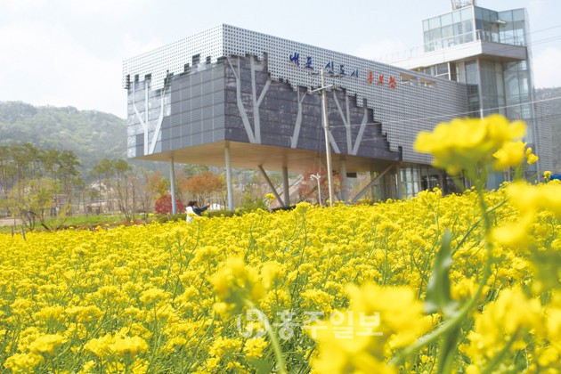 내포신도시의 노란 유채꽃 물결이 지나는 이들의 발길을 돌려 세운다. 내포신도시 홍보관 앞 유휴부지 80만㎡ 를 활용해 유채꽃 밭이 조성돼 있어 관광객들은 그림 같은 풍경과 함께추억을 남기려 카메라 버튼을 바삐 누르고 있다. 이곳에서 21일(오늘) 오후 5시부터 ‘내포신도시 홍예공원·유채축제’가 도청이전주민생계조합 주관으로 개최된다.