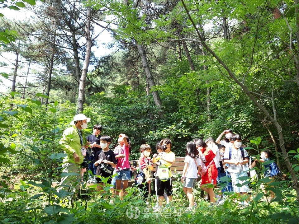 지난해 실시된 ‘숲 체험프로그램’ 현장 모습.
