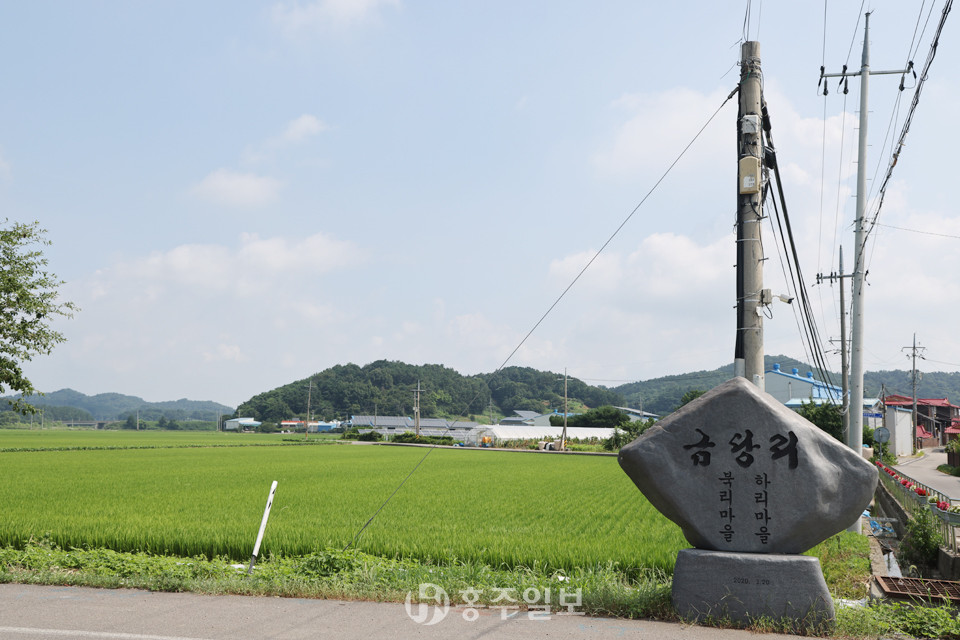 서천 화양산 동학농민군전투지.